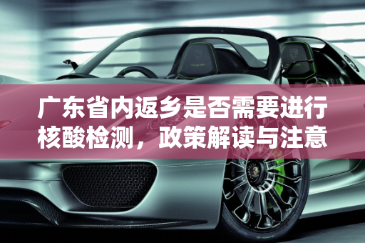 广东省内返乡是否需要进行核酸检测，政策解读与注意事项,广东省内返乡需要做核酸检测吗