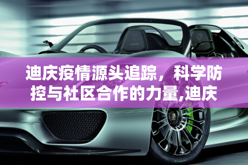 迪庆疫情源头追踪，科学防控与社区合作的力量,迪庆疫情源头