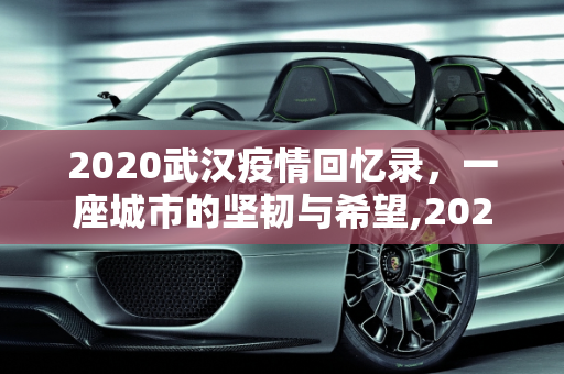 2020武汉疫情回忆录，一座城市的坚韧与希望,2020武汉疫情回忆录