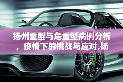 扬州重型与危重型病例分析，疫情下的挑战与应对,扬州重型23例危重型6例