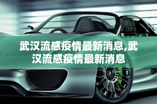 武汉流感疫情最新消息,武汉流感疫情最新消息