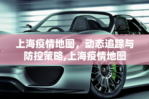 上海疫情地图，动态追踪与防控策略,上海疫情地图