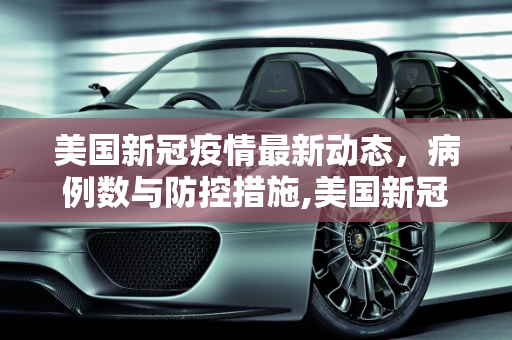 美国新冠疫情最新动态，病例数与防控措施,美国新冠病人数最新疫情