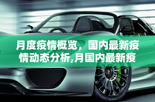 月度疫情概览，国内最新疫情动态分析,月国内最新疫情