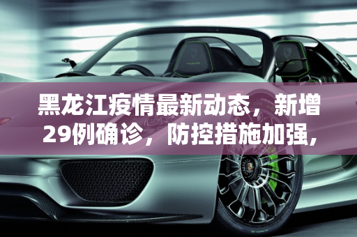 黑龙江疫情最新动态，新增29例确诊，防控措施加强,黑龙江新增29例确诊