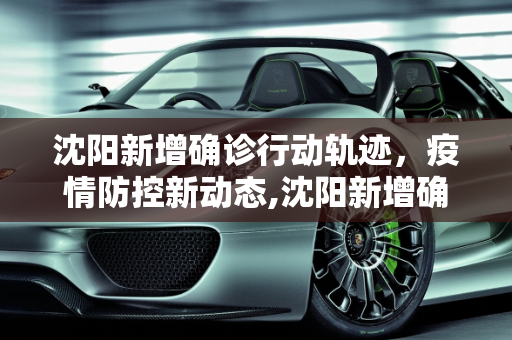 沈阳新增确诊行动轨迹，疫情防控新动态,沈阳新增确诊行动轨迹