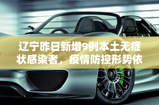 辽宁昨日新增9例本土无症状感染者，疫情防控形势依然严峻,辽宁昨日新增9例本土无症状