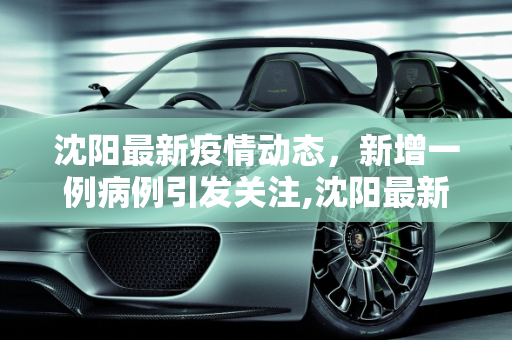 沈阳最新疫情动态，新增一例病例引发关注,沈阳最新疫情又新增一例