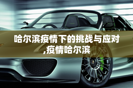 哈尔滨疫情下的挑战与应对,疫情哈尔滨