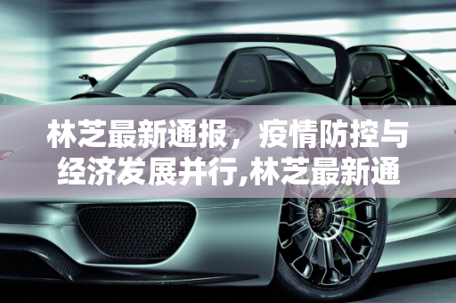 林芝最新通报，疫情防控与经济发展并行,林芝最新通报