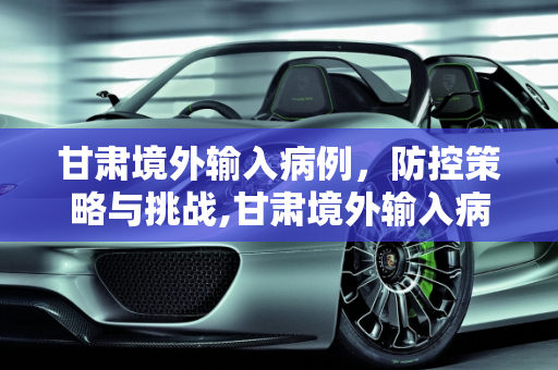 甘肃境外输入病例，防控策略与挑战,甘肃境外输入病例