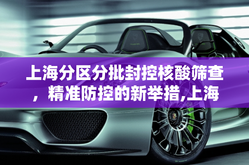 上海分区分批封控核酸筛查，精准防控的新举措,上海分区分批封控核酸筛查