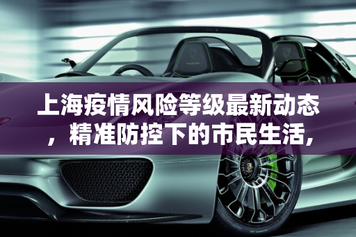 上海疫情风险等级最新动态，精准防控下的市民生活,疫情上海风险等级最新