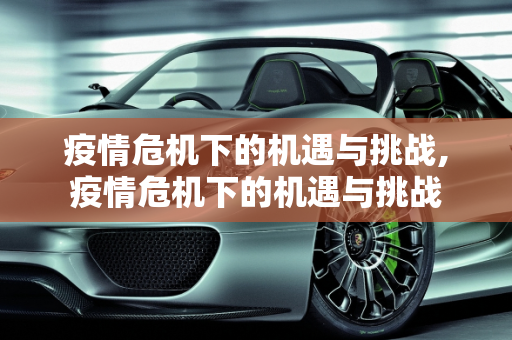 疫情危机下的机遇与挑战,疫情危机下的机遇与挑战