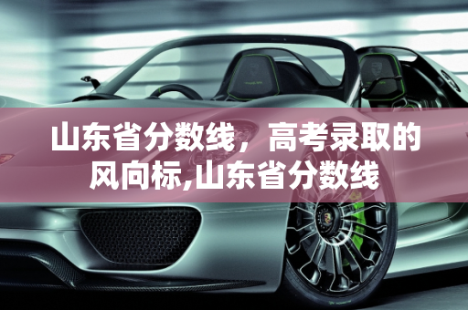 山东省分数线，高考录取的风向标,山东省分数线