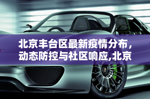 北京丰台区最新疫情分布，动态防控与社区响应,北京丰台最新疫情分布