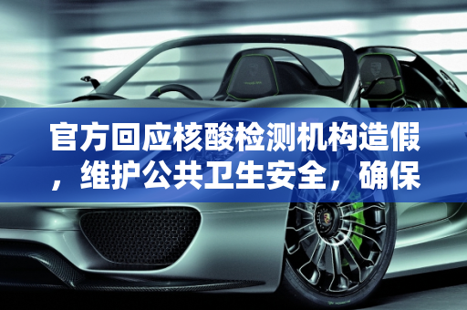 官方回应核酸检测机构造假，维护公共卫生安全，确保检测准确性,官方回应核酸机构造假