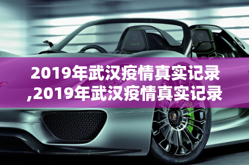 2019年武汉疫情真实记录,2019年武汉疫情真实记录