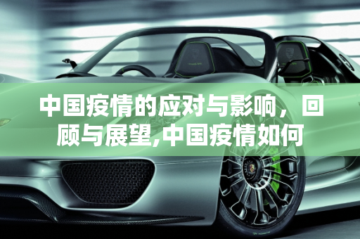 中国疫情的应对与影响，回顾与展望,中国疫情如何