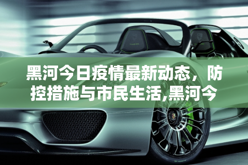 黑河今日疫情最新动态，防控措施与市民生活,黑河今日疫情最新