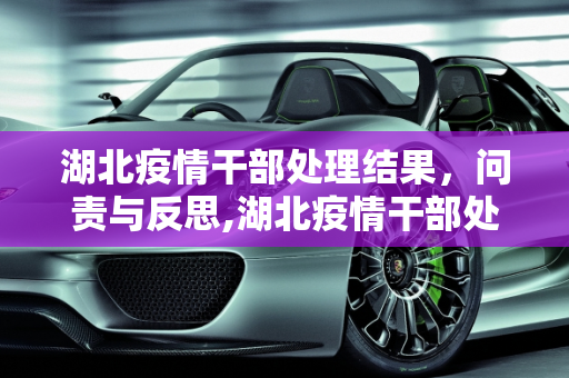 湖北疫情干部处理结果，问责与反思,湖北疫情干部处理结果