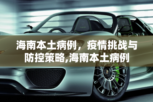 海南本土病例，疫情挑战与防控策略,海南本土病例