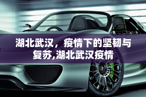 湖北武汉，疫情下的坚韧与复苏,湖北武汉疫情