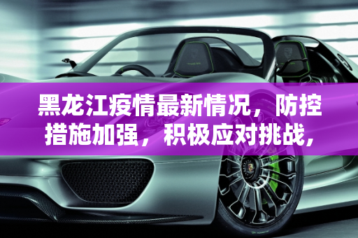 黑龙江疫情最新情况，防控措施加强，积极应对挑战,黑龙江疫情最新情况最新消息