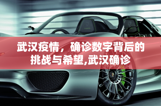 武汉疫情，确诊数字背后的挑战与希望,武汉确诊