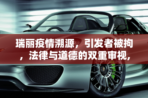 瑞丽疫情溯源，引发者被拘，法律与道德的双重审视,引发瑞丽疫情者被拘