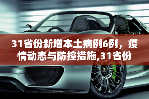 31省份新增本土病例6例，疫情动态与防控措施,31省份增本土6例