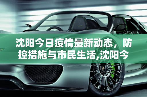 沈阳今日疫情最新动态，防控措施与市民生活,沈阳今天疫情最新