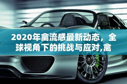 2020年禽流感最新动态，全球视角下的挑战与应对,禽流感最新消息2020