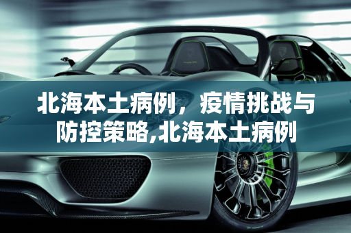 北海本土病例，疫情挑战与防控策略,北海本土病例