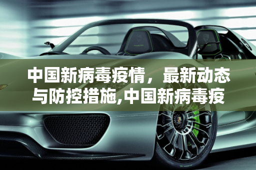 中国新病毒疫情，最新动态与防控措施,中国新病毒疫情最新消息