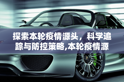 探索本轮疫情源头，科学追踪与防控策略,本轮疫情源头在哪儿